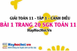Giải bài 1 trang 20 Toán 11 tập 1 SGK Cánh Diều